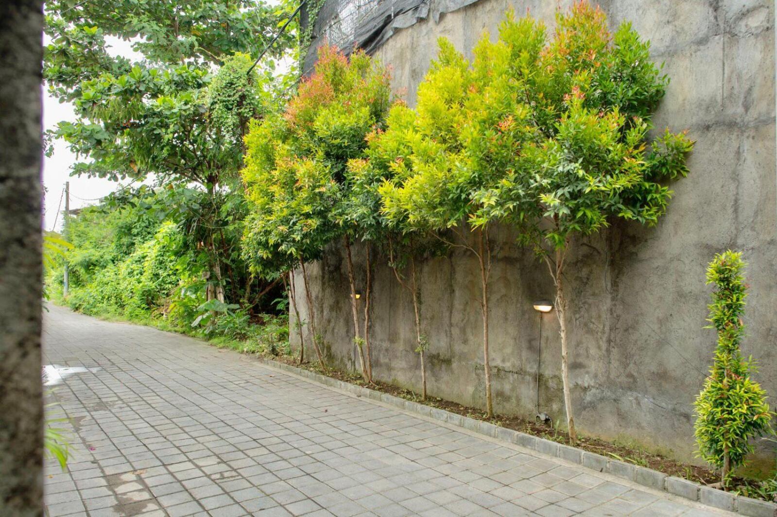 A7 Guesthouse Canggu Exteriér fotografie
